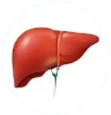 Doppler Hepático